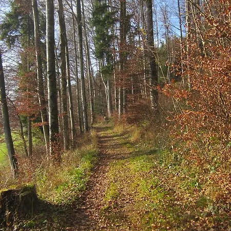 Am Muhlenweg * Ebenau