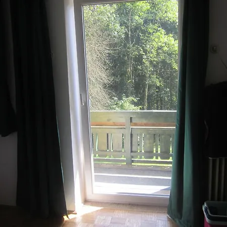 Am Muhlenweg Apartment Ebenau